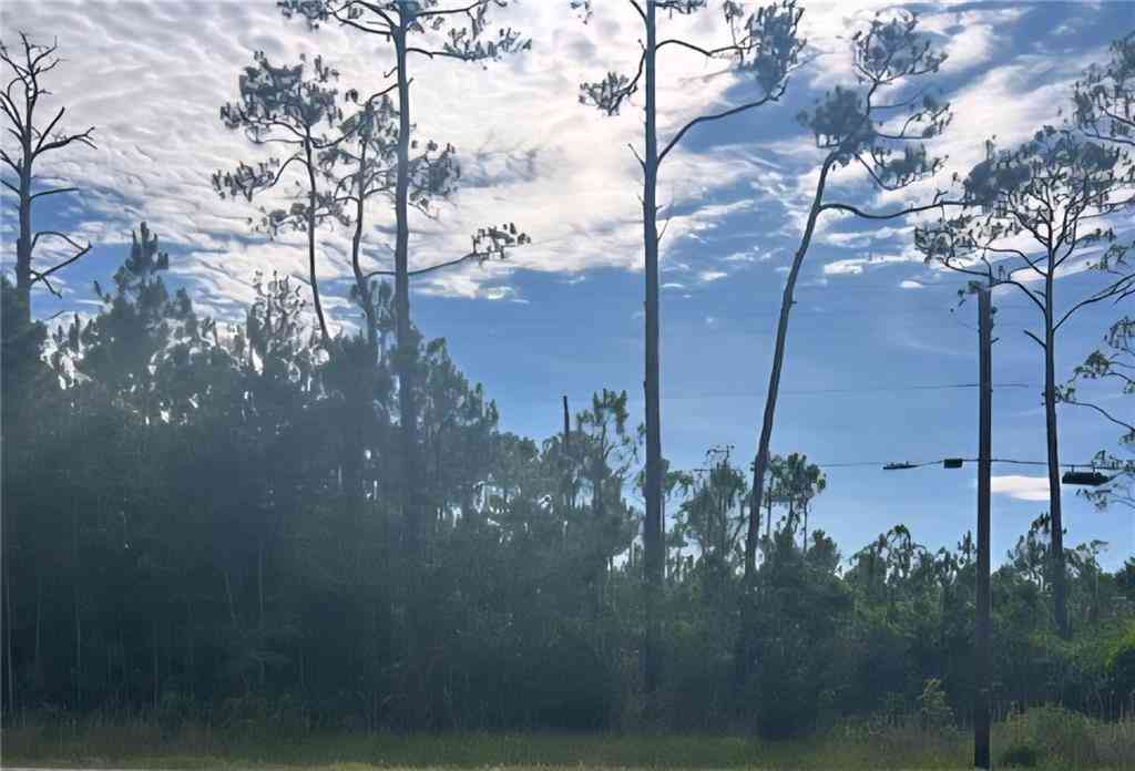 Vacant Land For Sale - 13565 Dauphin Island Parkway<br/> Mobile County, Coden, AL 36523