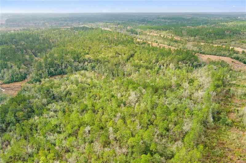 Vacant Land For Sale - Andry Road<br/> Mount Vernon, AL 36560