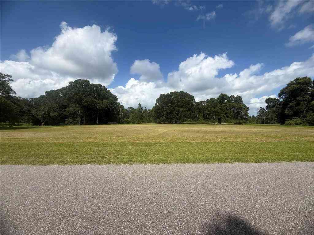 Vacant Land For Sale - Hampton Court<br/> Mobile, AL 36608
