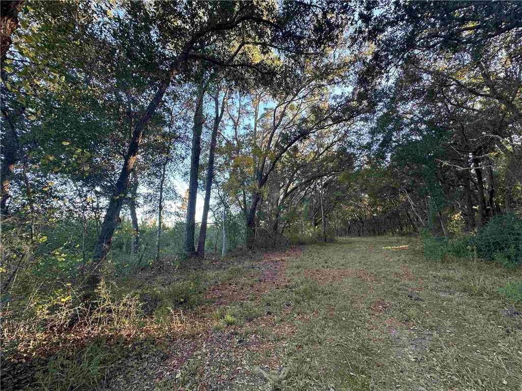 Vacant Land For Sale - Benton Road<br/> Foley, AL 36535