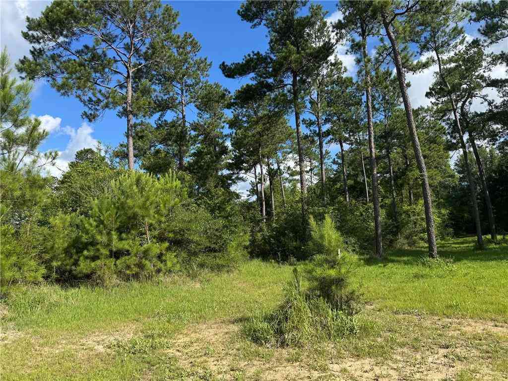 Vacant Land For Sale - 4502 Cypress Park Drive<br/> Mobile, AL 36619