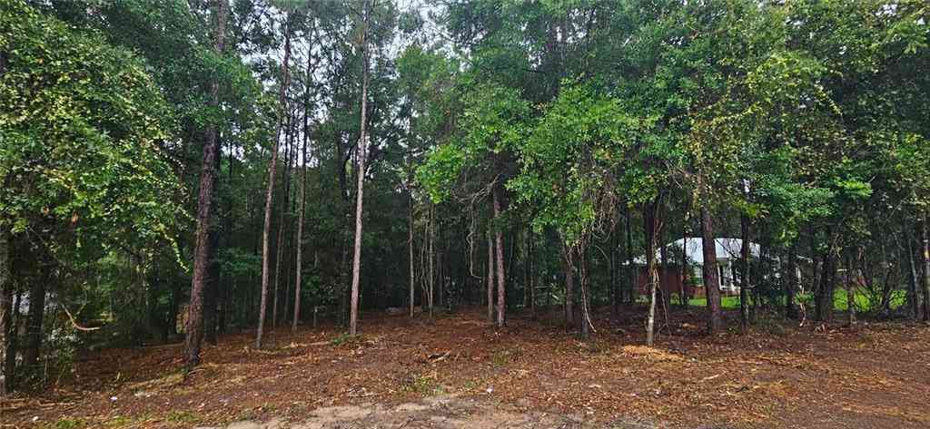 Vacant Land For Sale - N Timber Creek Drive<br/> Axis, AL 36505