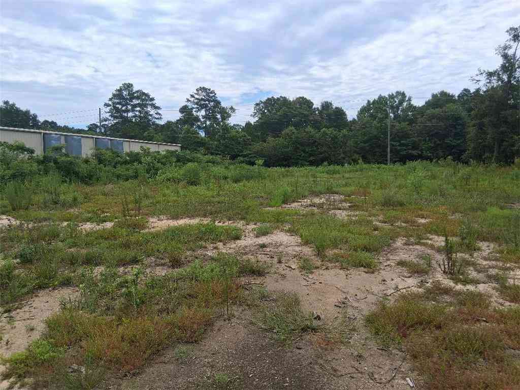 Vacant Land For Sale - Old Highway 43<br/> Mobile County, Mount Vernon, AL 36560