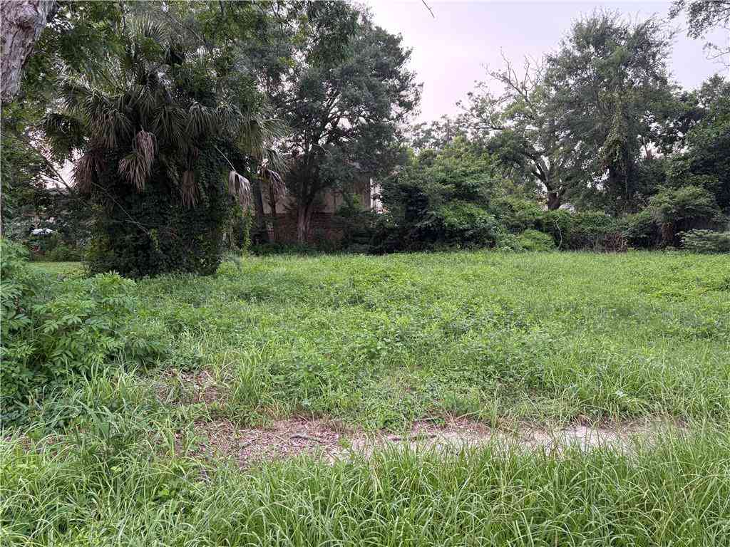 Vacant Land For Sale - 960 Conti Street<br/> Mobile, AL 36604