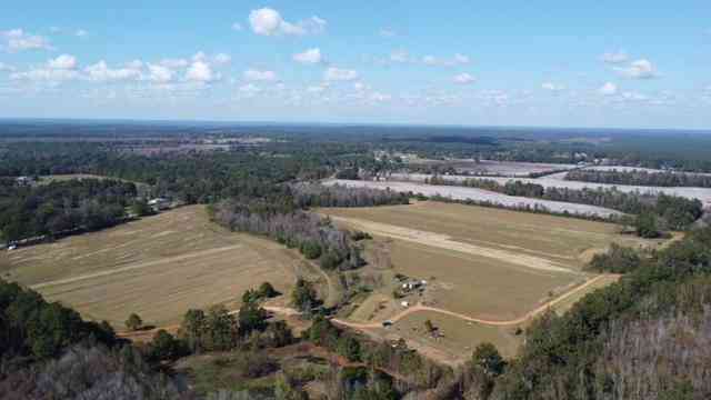 Vacant Land For Sale - 0000 Lott Road<br/> Mobile County, Chunchula, AL 36521