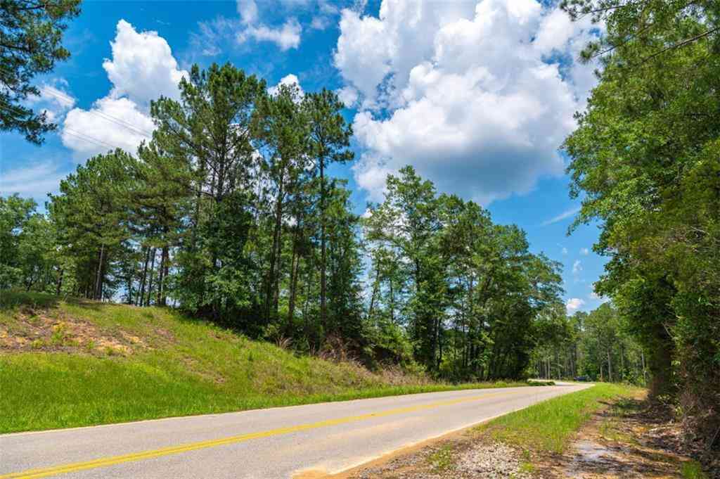 Vacant Land For Sale - County Road 1<br/> Chatom, AL 36518