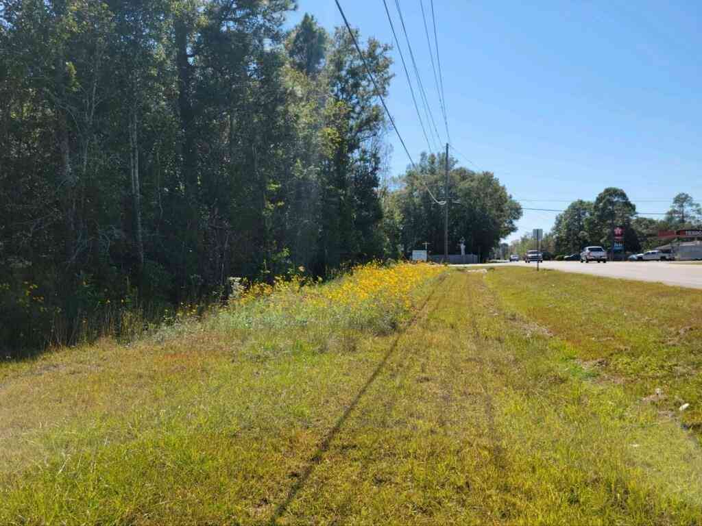 Vacant Land For Sale - 2 Two Mile Road<br/> Irvington, AL 36544