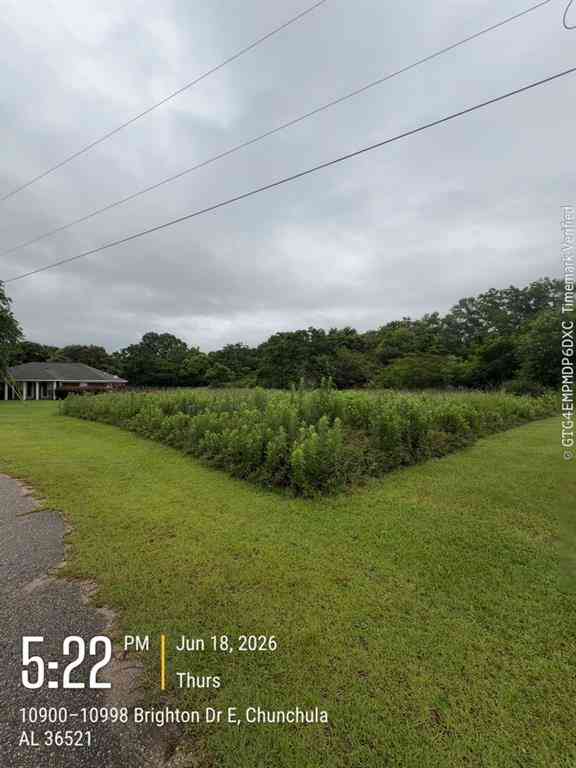 Vacant Land For Sale - Brighton Drive<br/> Chunchula, AL 36521