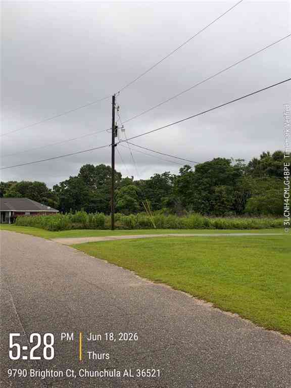 Vacant Land For Sale - Brighton Drive<br/> Mobile County, Chunchula, AL 36521