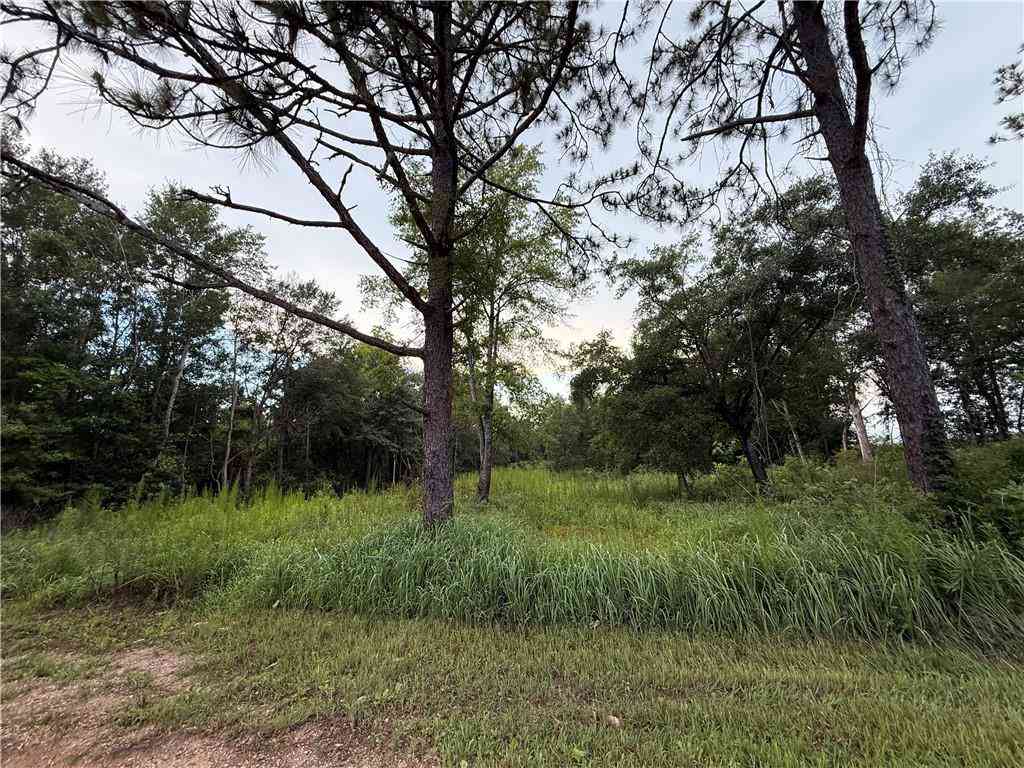 Vacant Land For Sale - 10224 Magnolia Road<br/> Irvington, AL 36544