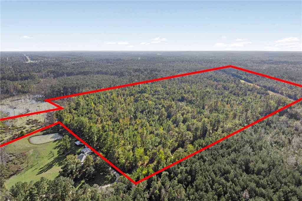 Vacant Land For Sale - Highway 43<br/> Axis, AL 36505