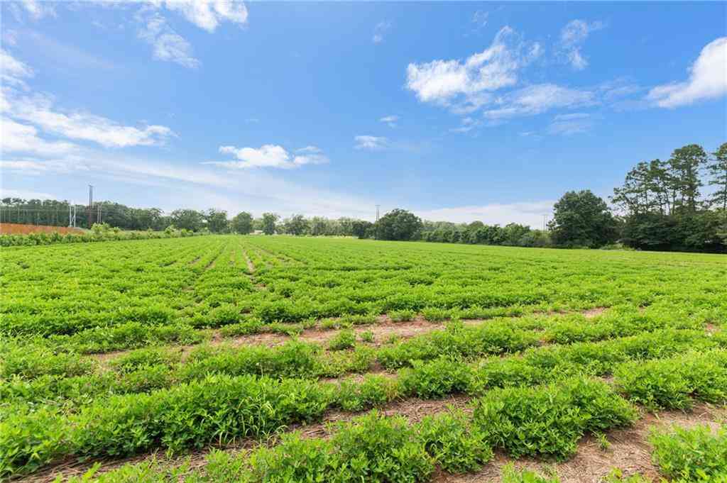 Vacant Land For Sale - 21379 West Boulevard<br/> Baldwin County, Silverhill, AL 36576