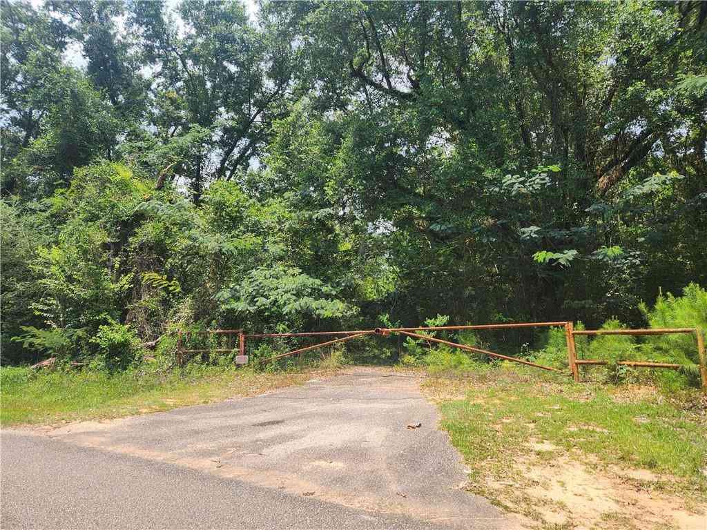 Vacant Land For Sale - I-65 Service Road<br/> Satsuma, AL 36572