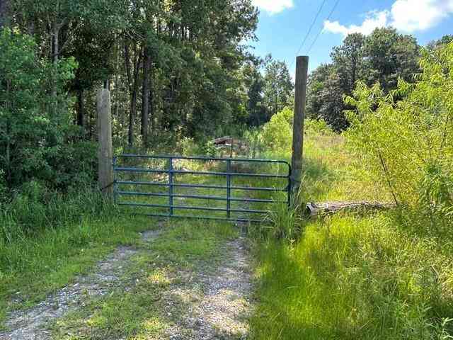 Vacant Land For Sale - 6573 Dauphin Island Parkway<br/> Mobile County, Mobile, AL 36605