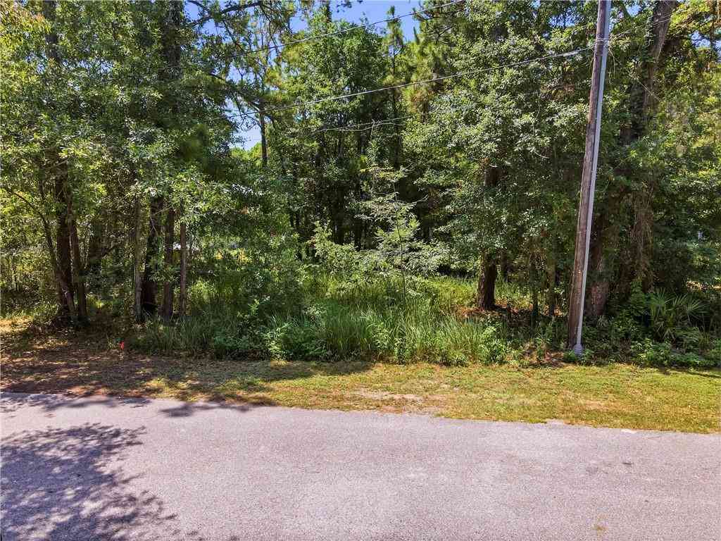 Vacant Land For Sale - 509 Fort Rosalie Place<br/> Mobile County, Dauphin Island, AL 36528