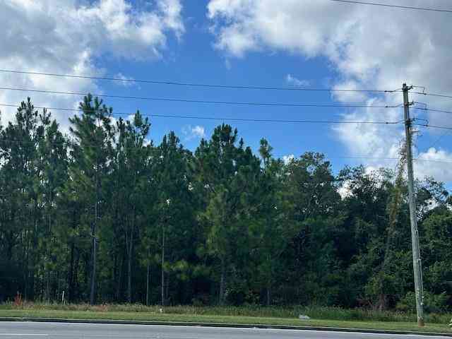 Vacant Land For Sale - Cottage Hill Road<br/> Mobile County, Mobile, AL 36695