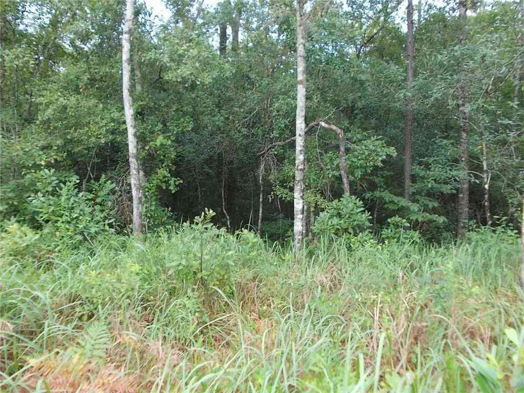Vacant Land For Sale - Boothtown Road<br/> Mobile County, Citronelle, AL 36522