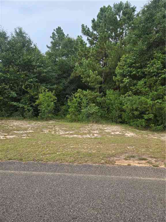 Vacant Land For Sale - Haley Drive<br/> Mobile, AL 36618