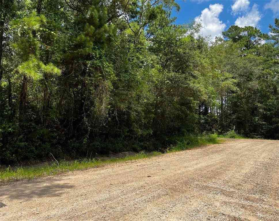 Vacant Land For Sale - Belle Terrace Drive<br/> Mobile County, Theodore, AL 36582