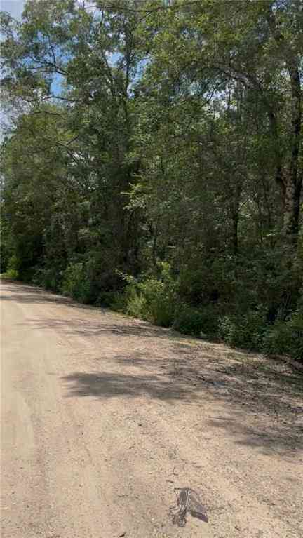 Vacant Land For Sale - Leatherwood Drive<br/> Mobile County, Theodore, AL 36582