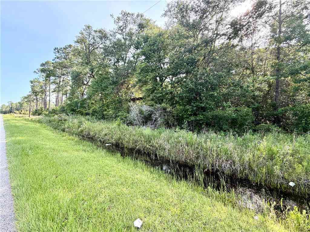 Vacant Land For Sale - W Heron Bay Loop Road<br/> Mobile County, Coden, AL 36523