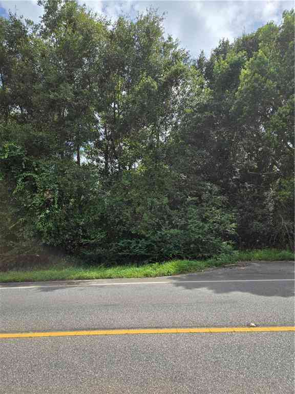 Vacant Land For Sale - 9941 Highway 188<br/> Mobile County, Grand Bay, AL 36541