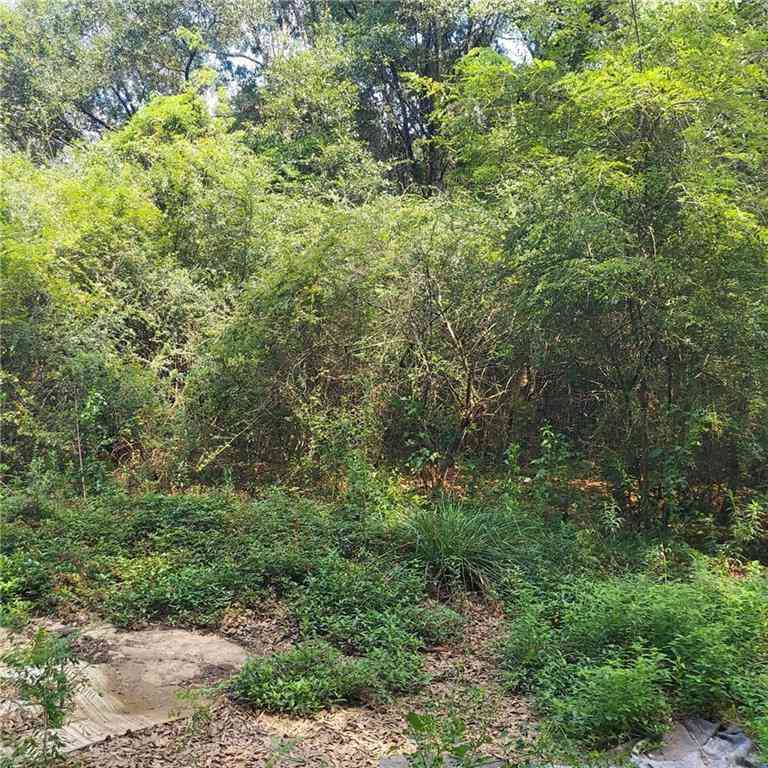 Vacant Land For Sale - Outlaw Road<br/> Eight Mile, AL 36613