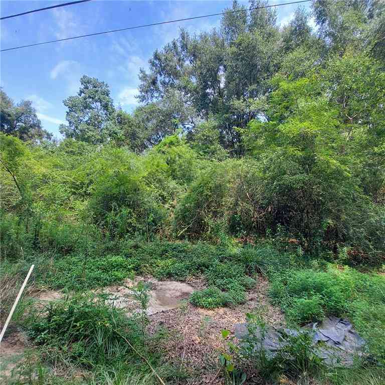 Vacant Land For Sale - Outlaw Road<br/> Eight Mile, AL 36613