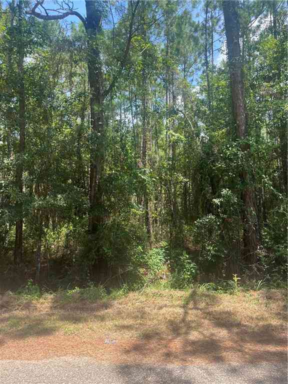 Vacant Land For Sale - Maura Drive<br/> Bayou La Batre, AL 36509