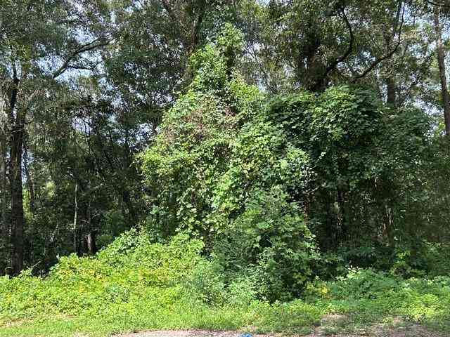 Vacant Land For Sale - Murray Heights Drive<br/> Irvington, AL 36544