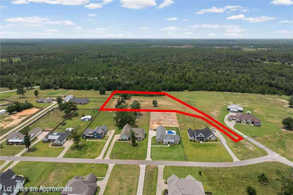 Vacant Land For Sale - E Deer Crest Lane<br/> Mobile County, Mobile, AL 36695