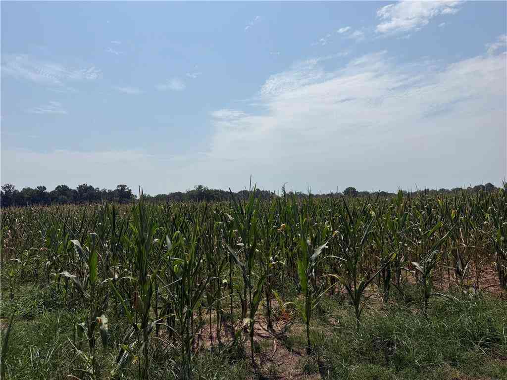 Vacant Land For Sale - Grand Bay-wilmer Road<br/> Mobile County, Mobile, AL 36608