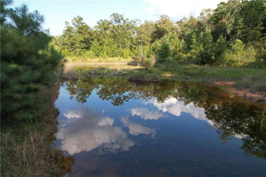Vacant Land For Sale - Hunters Trail<br/> Mobile County, Citronelle, AL 36522
