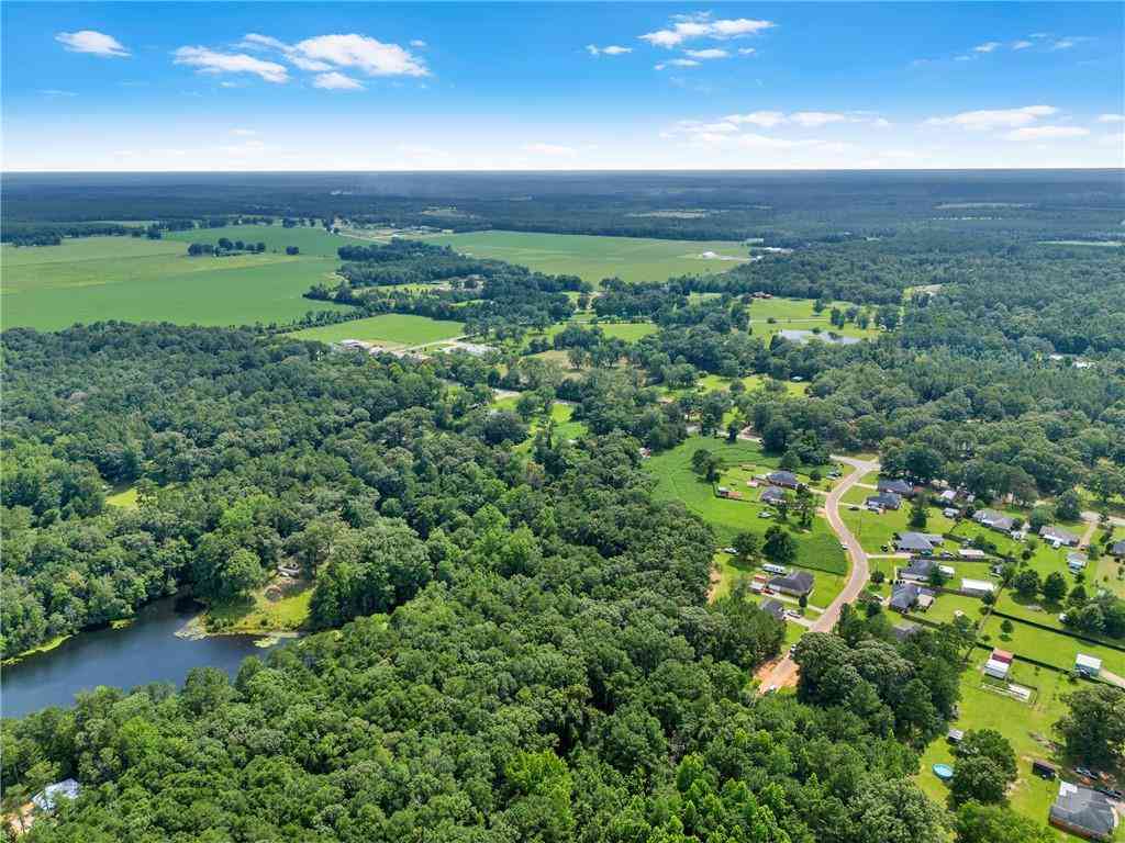 Vacant Land For Sale - Dreamway Drive<br/> Mobile County, Chunchula, AL 36521