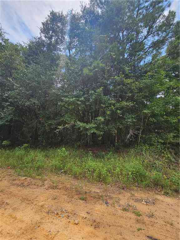 Vacant Land For Sale - 6861 Spice Pond Drive<br/> Mobile County, Eight Mile, AL 36613