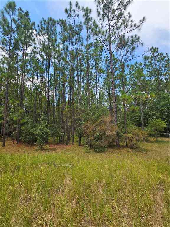 Vacant Land For Sale - Spice Pond Drive<br/> Mobile County, Eight Mile, AL 36613