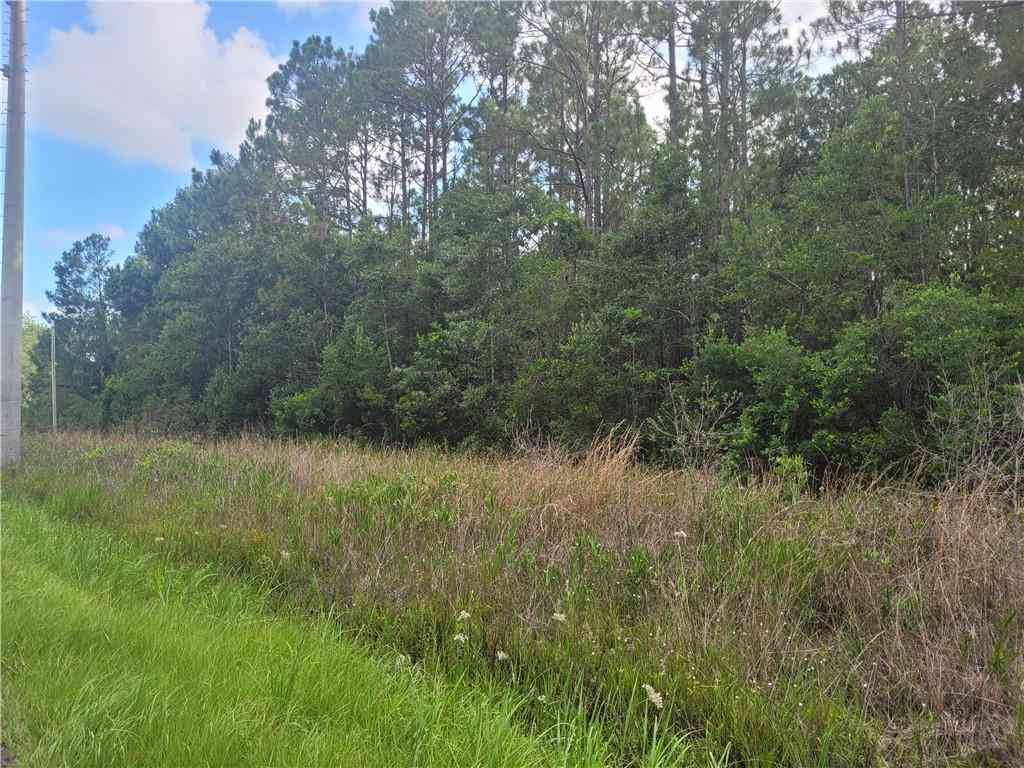 Vacant Land For Sale - 000 Bellingrath Road<br/> Mobile County, Theodore, AL 36582
