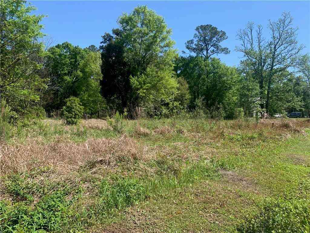 Vacant Land For Sale - 9010 Little River Road<br/> Mobile County, Bayou La Batre, AL 36509