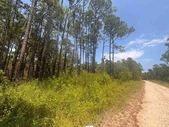Vacant Land For Sale - Dakota Drive<br/> Coden, AL 36523