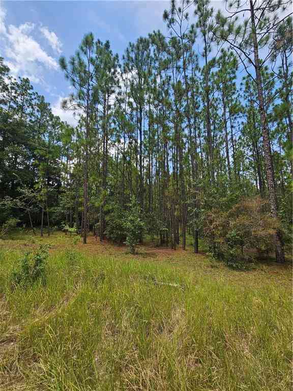 Vacant Land For Sale - 6869 Spice Pond Road<br/> Eight Mile, AL 36613