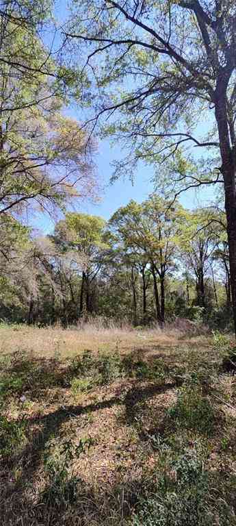 Vacant Land For Sale - 4710 E John Sims Road<br/> Wilmer, AL 36587