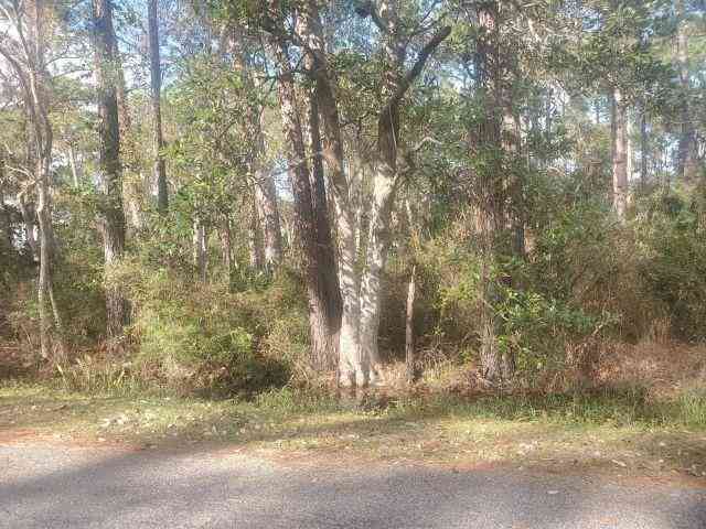 Vacant Land For Sale - 228 Chenault Avenue<br/> Mobile County, Dauphin Island, AL 36528