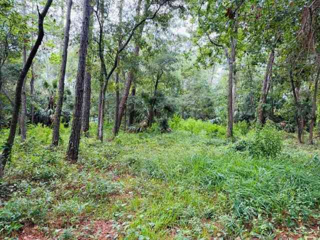 Vacant Land For Sale - La Coste Court<br/> Mobile County, Dauphin Island, AL 36528