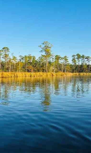 Vacant Land For Sale - Cedar Trace<br/> Mobile, AL 36582