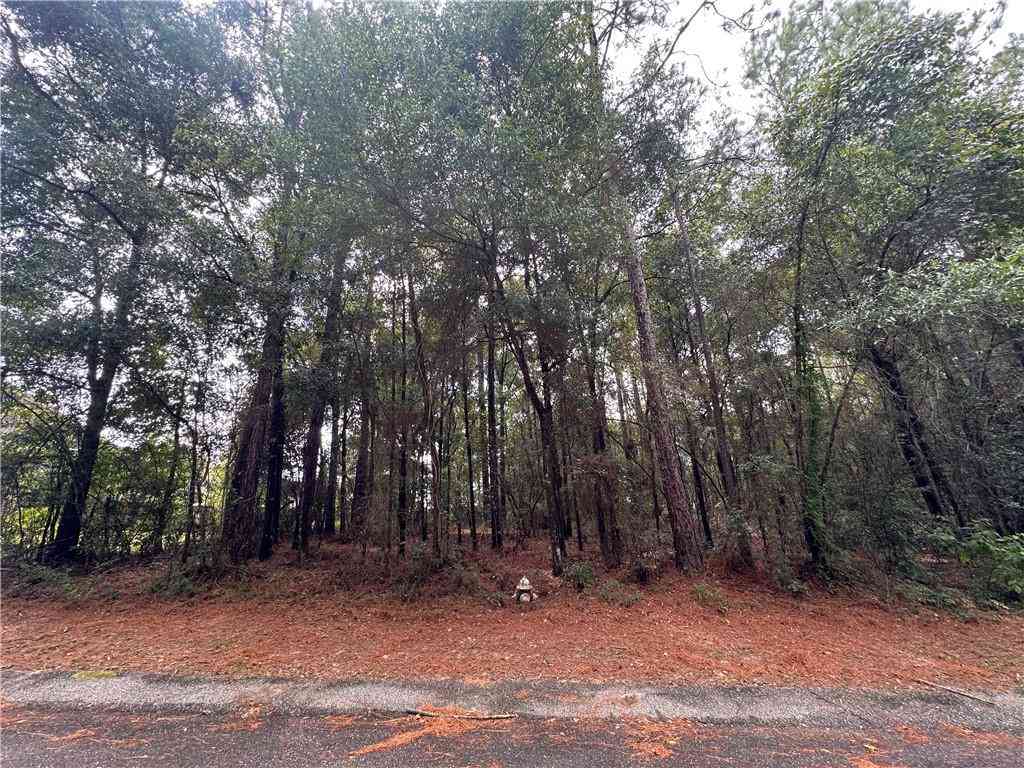 Vacant Land For Sale - Lukoli Lane<br/> Saraland, AL 36571