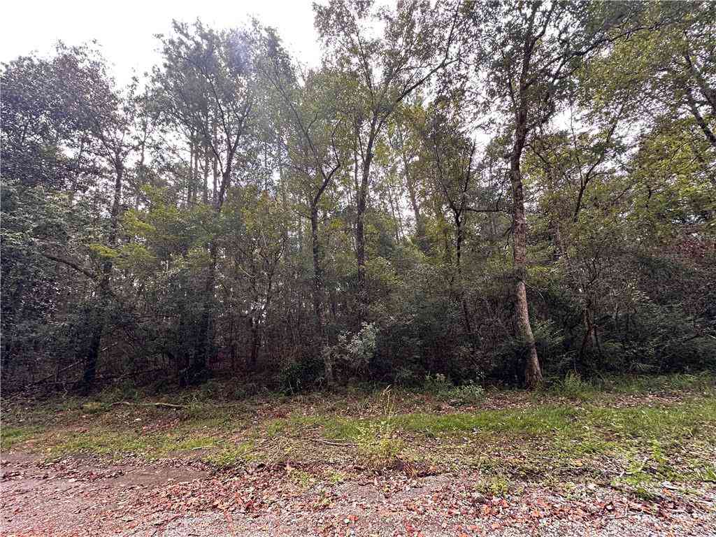 Vacant Land For Sale - Lukoli Lane<br/> Saraland, AL 36571