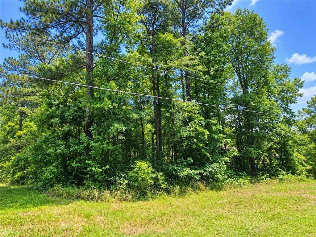 Vacant Land For Sale - Denny Street<br/> Mount Vernon, AL 36560
