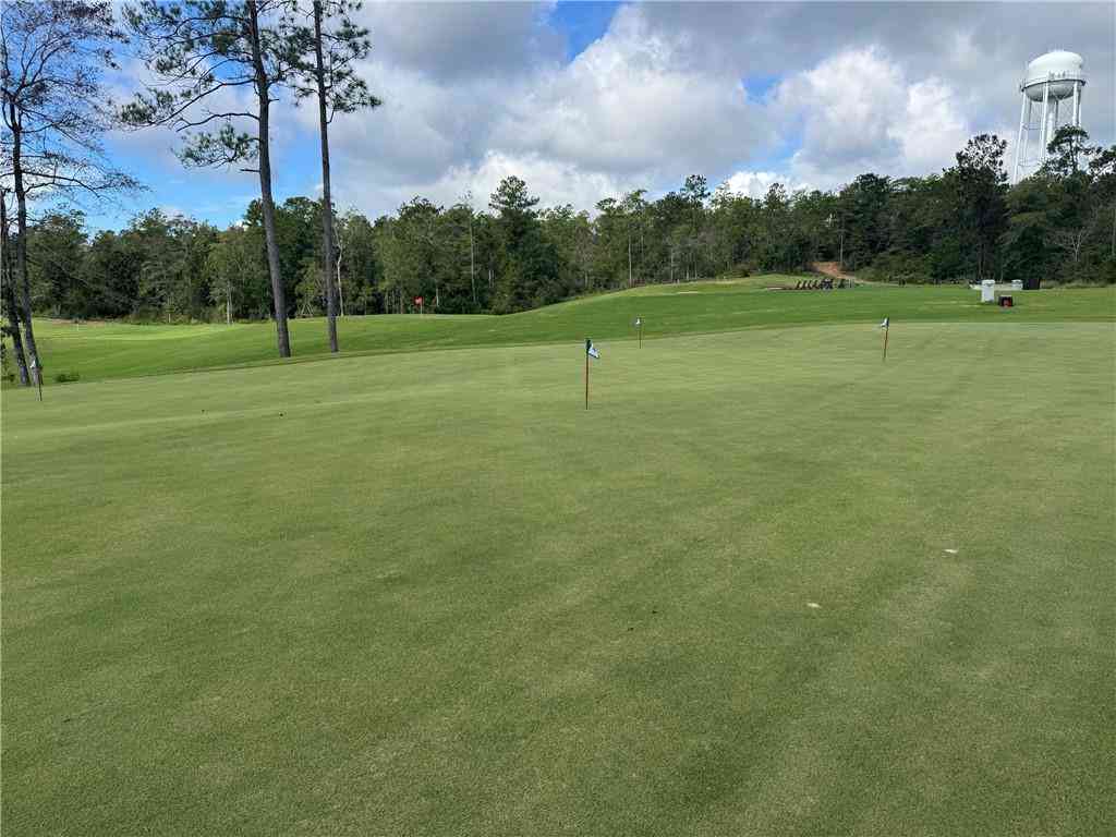 Slider Thumb