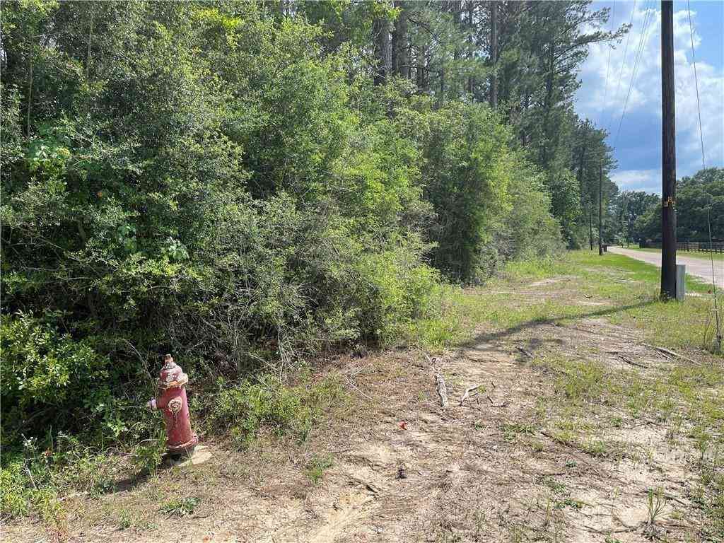 Vacant Land For Sale - Highway 45<br/> Citronelle, AL 36522
