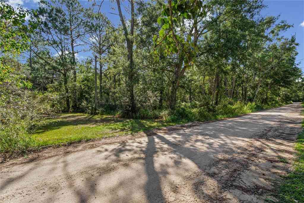 Vacant Land For Sale - 16045 Williams Road<br/> Coden, AL 36523